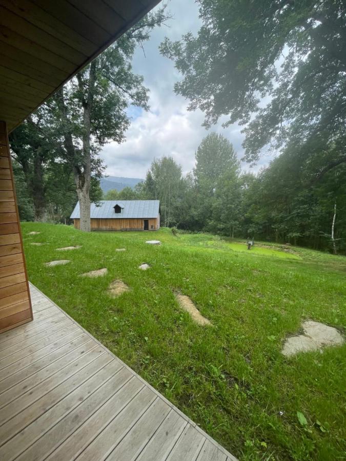 Apartman Pod Jasanem Hojsova Straz Brcalnik Lägenhet Železná Ruda Exteriör bild