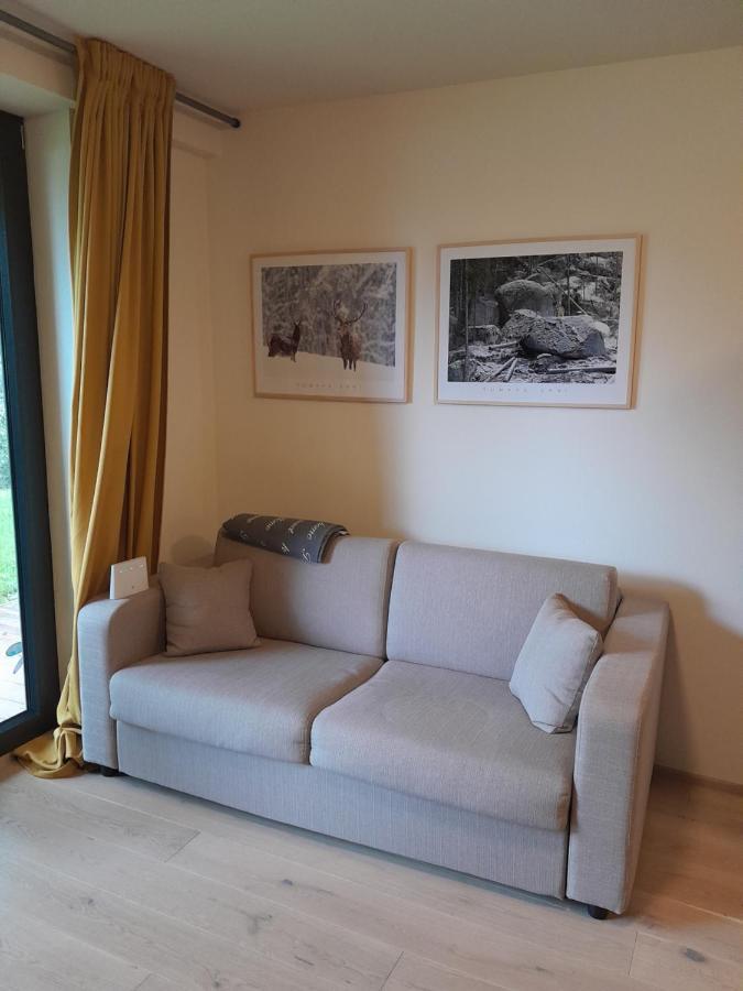 Apartman Pod Jasanem Hojsova Straz Brcalnik Lägenhet Železná Ruda Exteriör bild