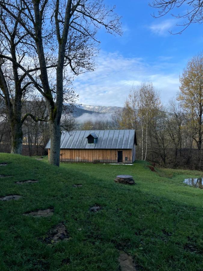 Apartman Pod Jasanem Hojsova Straz Brcalnik Lägenhet Železná Ruda Exteriör bild